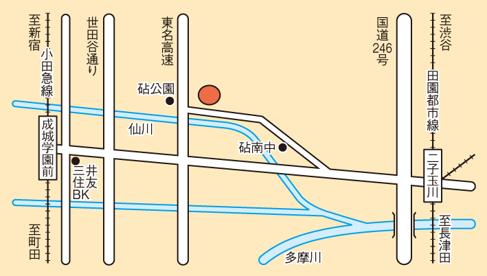 コヤマドライビングスクール成城校 安心パック コヤマドライビングスクール成城校 芝浦工業大学消費生活協同組合